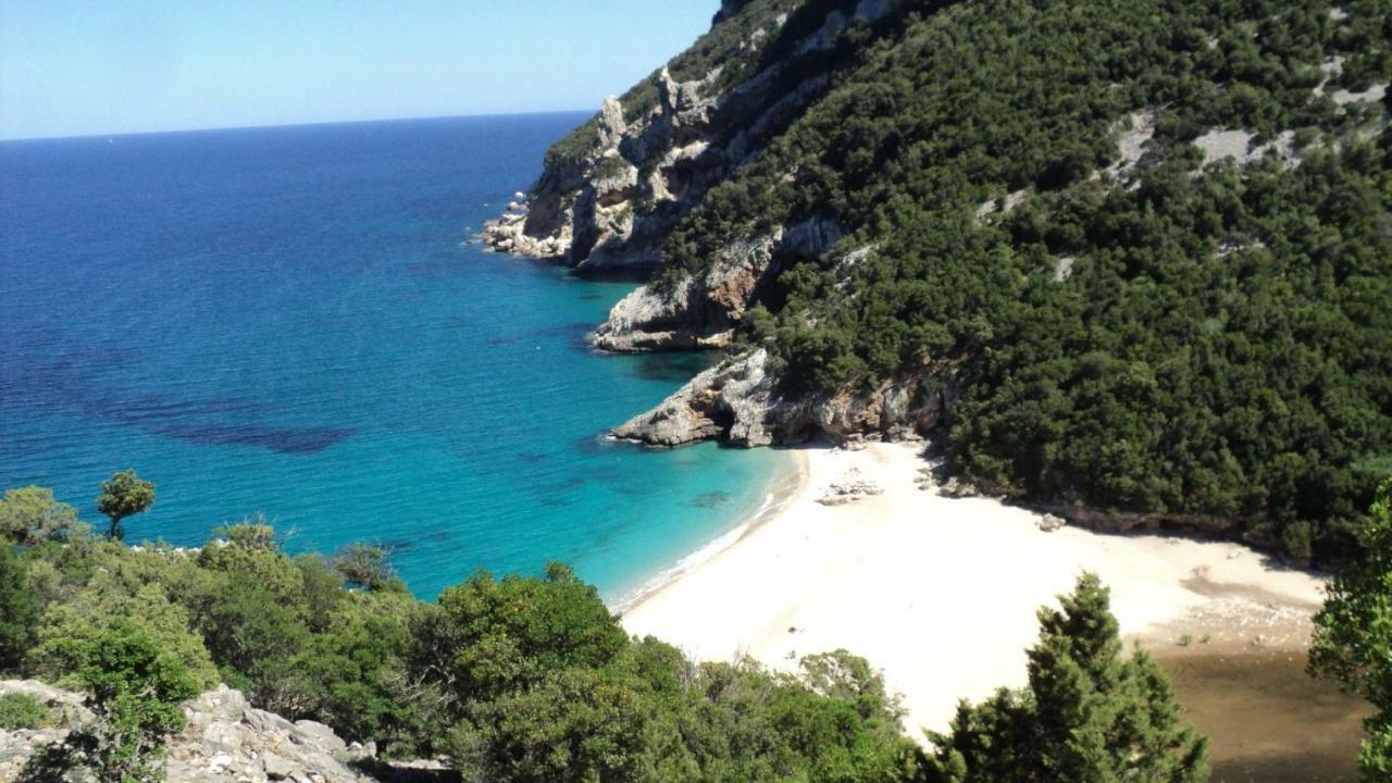 White Rose Suite Apartment Cala Gonone Exterior foto