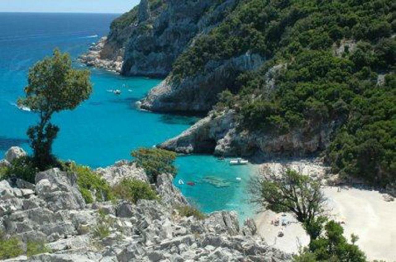 White Rose Suite Apartment Cala Gonone Exterior foto
